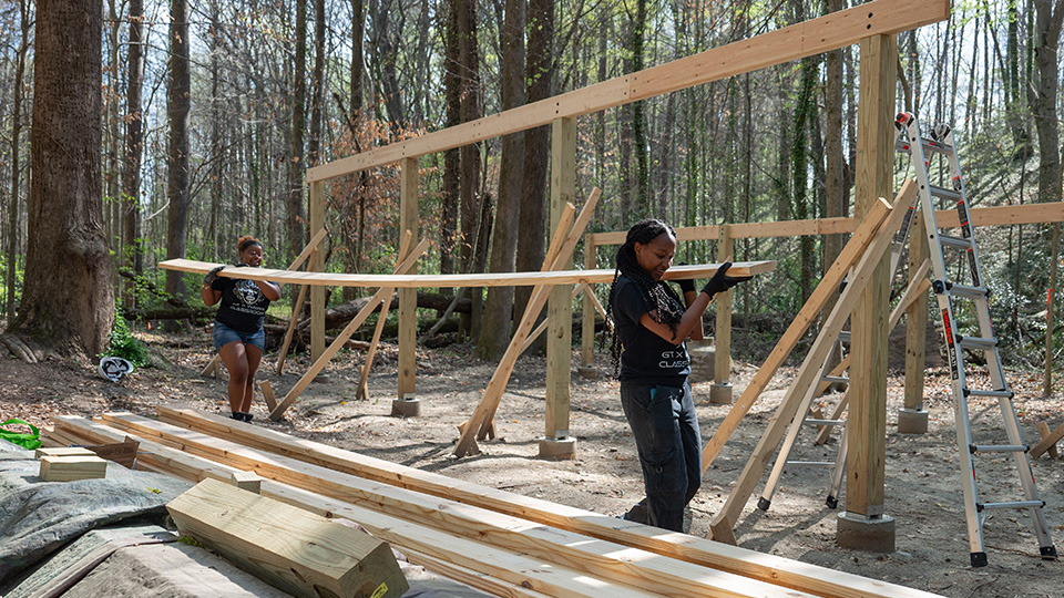 Students working in the woods