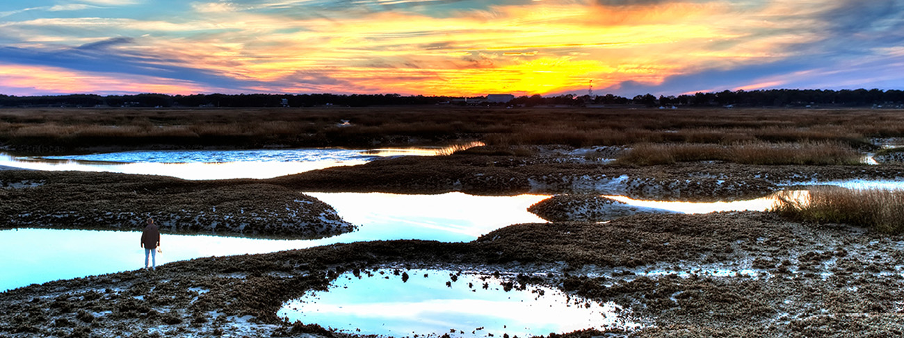 Sustainable Showcase full width hero image.