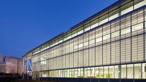 The Strategic Energy Institute